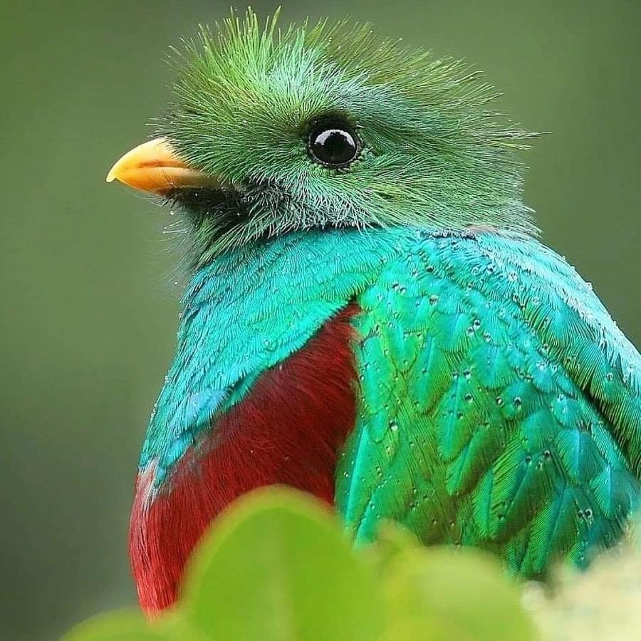 Cabinas El Quetzal سان جيراردو دو دوتا المظهر الخارجي الصورة